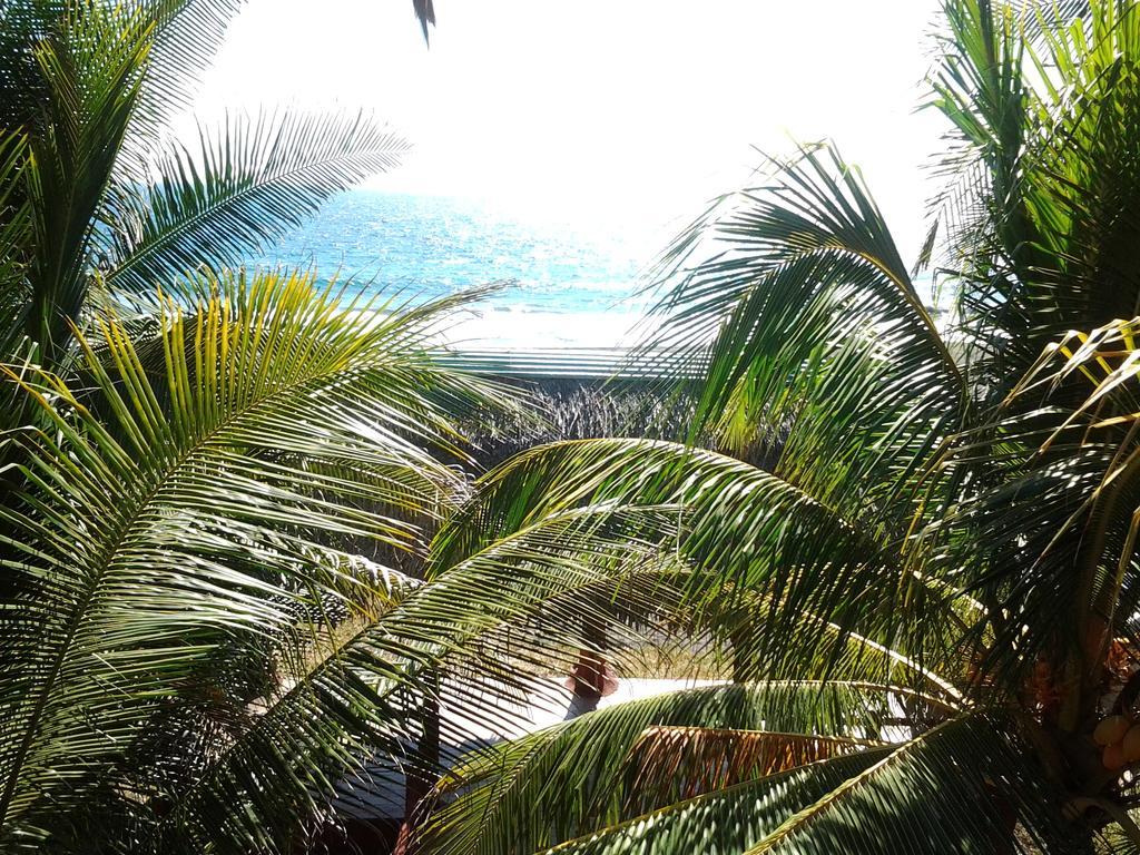 Villa Tortugas Монтеррико Экстерьер фото